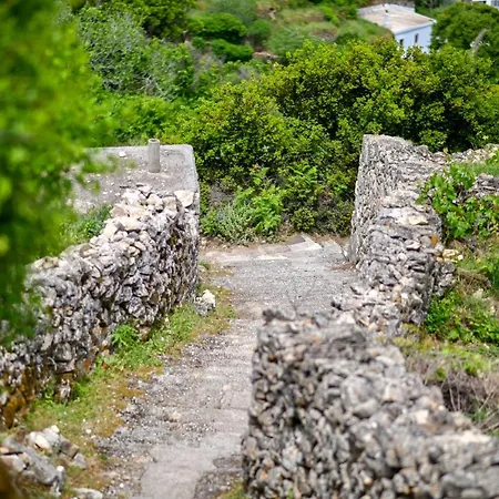 דירה Mespilus House