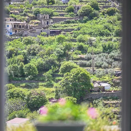דירה Mespilus House *